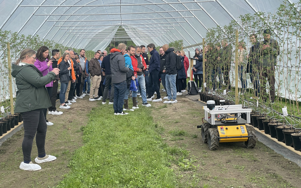 Robot i tunnel, bringebærplanter i bakgrunnen og publikum som ser på og tek bilete.