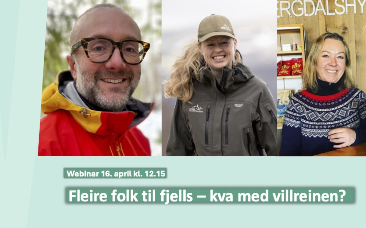 Webinarplakat