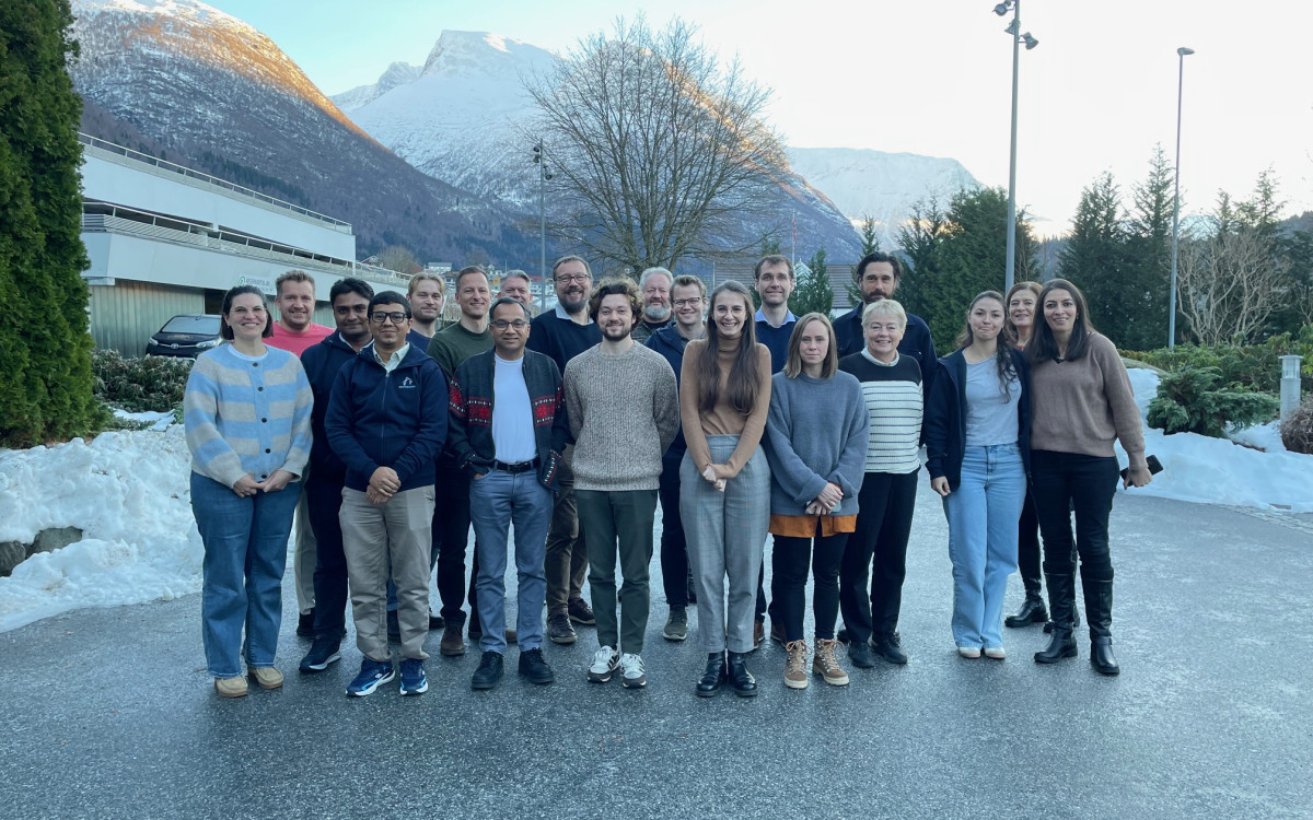 Tjue forskarar i ulike aldrar står framfor eit snødekt fjell på Vestlandet og ser i kamera medan dei smiler. Eit hotell kan skimtast på sida bak dei.