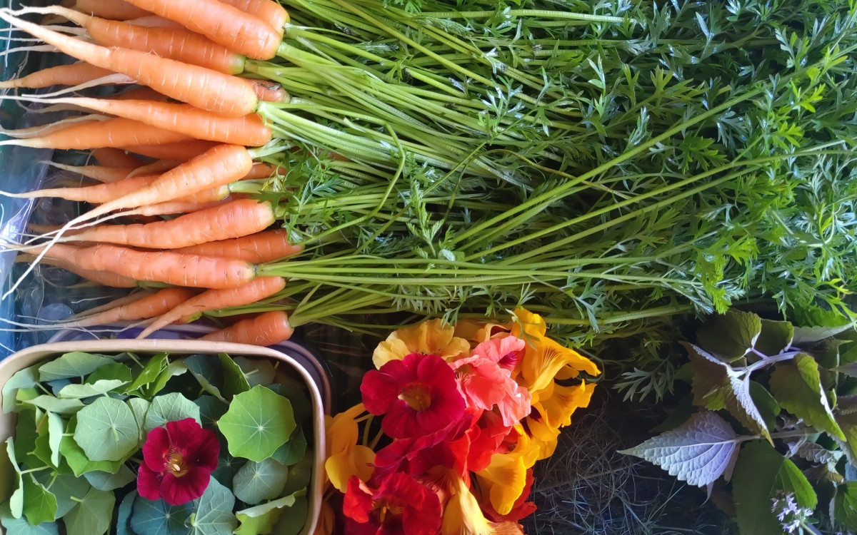 lokale grønsaker
