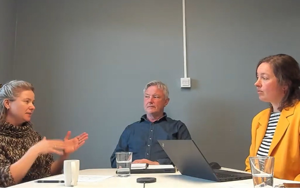 Webinardeltakarar hyttetema