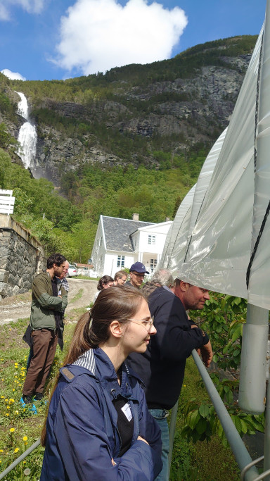 Ekskursjonsdeltakarar ser under morellduk i ruralt fjellandskap