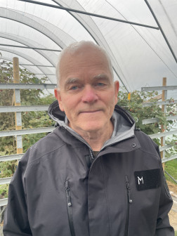 Stein Harald Hjeltnes